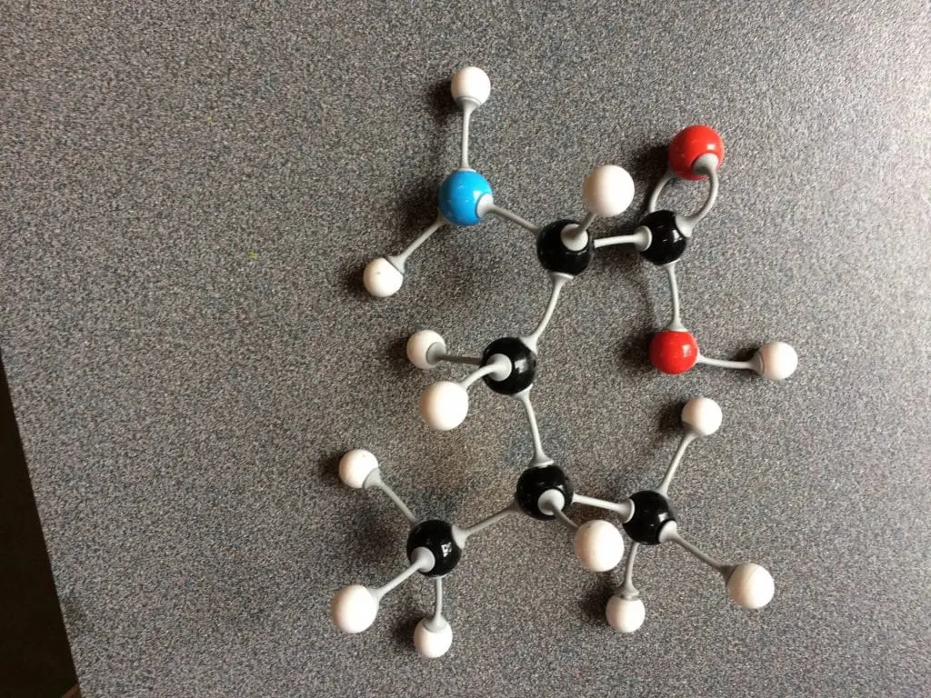 Fig. 24: Molekylmodel af aminosyren leucin C6H13NO2 i mælkevalle.